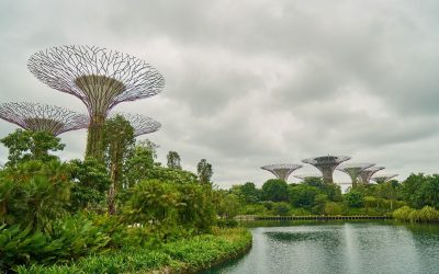 Singapore1