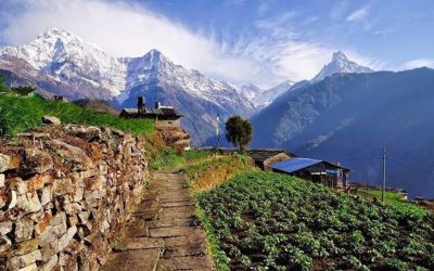 South Asian countries